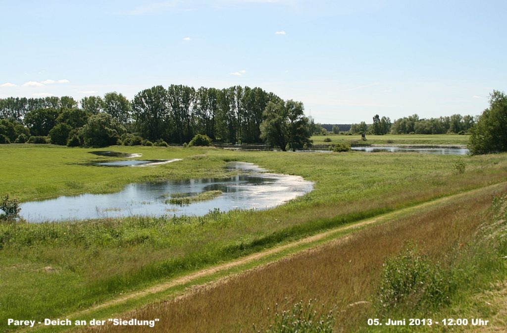 Hochwasser- 2013_06_05-001-Parey.JPG